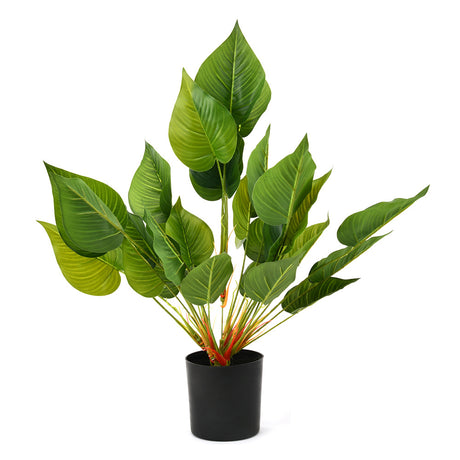 Tropicana Burflower Artificial Potted Plant (Green)