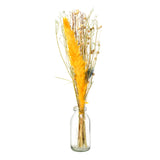 Arias by Lara Dutta Decorative Glass Vase with Dry Flowers (Transparent & Yellow)