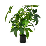 Tropicana Guiana Chestnut Artificial Potted Plant (Green)