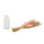 Arias by Lara Dutta Decorative Glass Vase with Dry Flowers (Transparent & Pink)