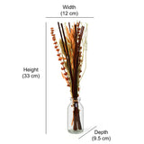 Arias by Lara Dutta Decorative Glass Vase with Dry Flowers (Transparent & Brown)