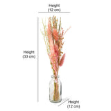 Arias by Lara Dutta Decorative Glass Vase with Dry Flowers (Transparent & Pink)