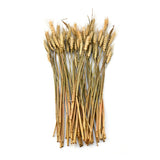 Wheat Artificial Filler Bunch (Cream)