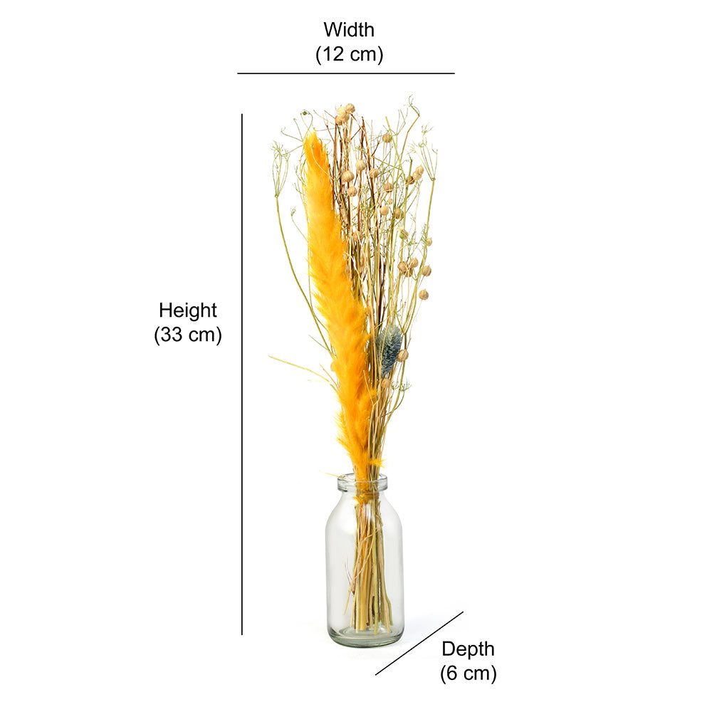 Arias by Lara Dutta Decorative Glass Vase with Dry Flowers (Transparent & Yellow)