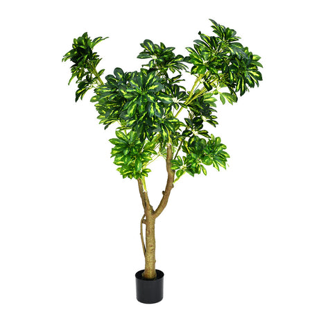 Tropicana Artificial Money Tree (Green)