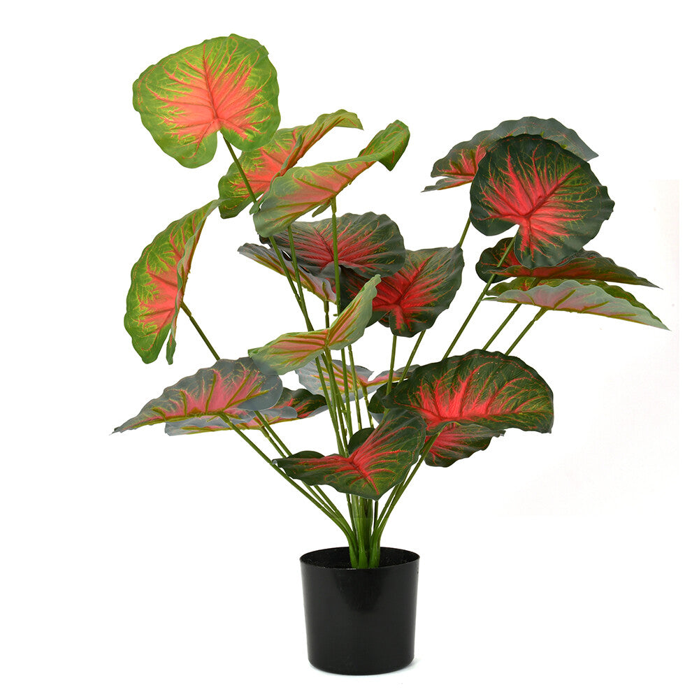 Tropicana Fairy Taro Artificial Potted Plant (Green & Red)