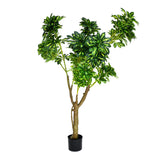 Tropicana Artificial Money Tree (Green)