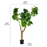 Tropicana Artificial Money Tree (Green)