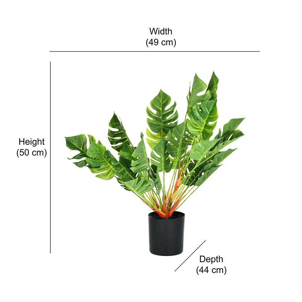 Tropicana Turtle Leaf Artificial Potted Plant 50 cm (Green)