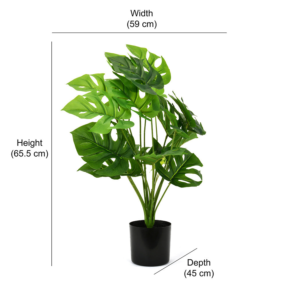 Tropicana Turtle Leaf Artificial Potted Plant 65 cm (Green)