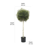 Artificial Oplismenus Tree With Pot (Green)