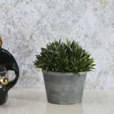 Nilkamal Artificial Mini Leaf Plant With Pot (Green)