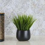 Artificial Grass With Ceramic Pot (Green)