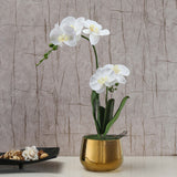 Artificial Orchid Plant With Pot (White)