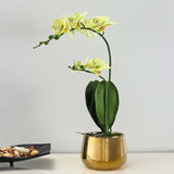 Artificial Orchid Plant With Pot (Yellow)