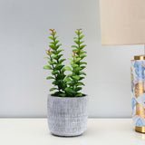 Artificial Apple Leaf Plant With Cement Pot (Green)