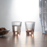 Marseille 55 ml Shot Glasses Set of 4 (Transparent)