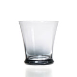 Lyon 260 ml Water Glass Tumblers Set of 4 (Transparent)