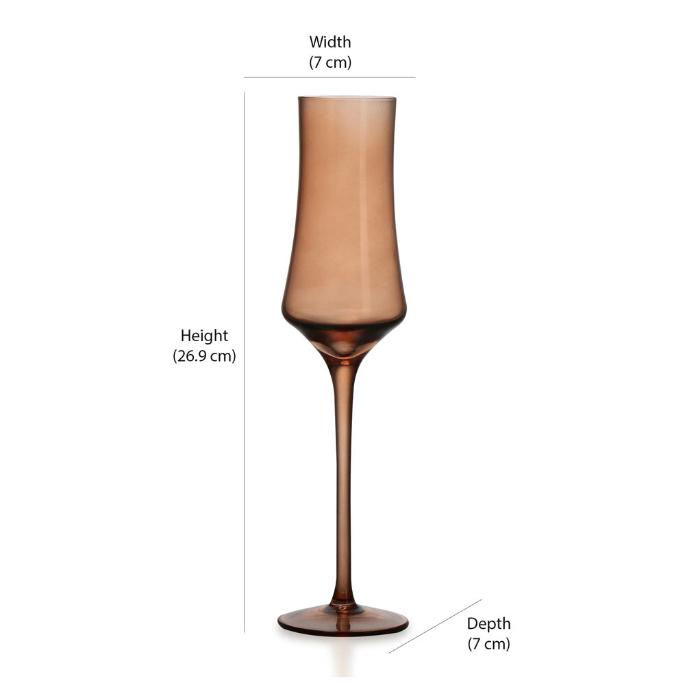 Atelier 150 ml Champagne Glasses Set of 2 (Brown)