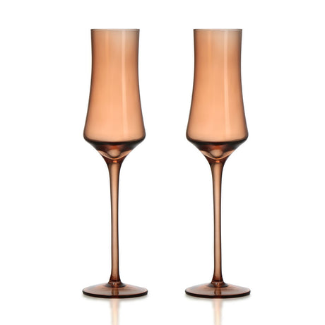 Atelier 150 ml Champagne Glasses Set of 2 (Brown)