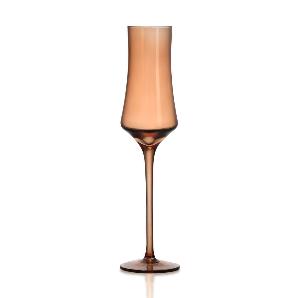 Atelier 150 ml Champagne Glasses Set of 2 (Brown)