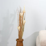 Decorative Maize Flower Dry Stick (Beige)