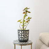 Decorative Mosaic Polypropylene Planter (Black & Cream)