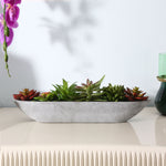 Artificial Succulent Plant With Oval Pot (Green)