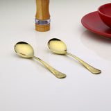 Nilkamal Arias by Lara Dutta Safari Gold Stainless Steel Serving Spoon Set of 2