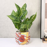 Hand Painted Ceramic Bowl Planter (Multicolor)