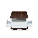 Altura Engineered Wood Coffee Table (Wenge / White)