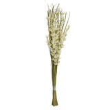 Flower Buds Wicker Dry Stick (White & Green)