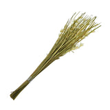 Flower Buds Wicker Dry Stick (White & Green)