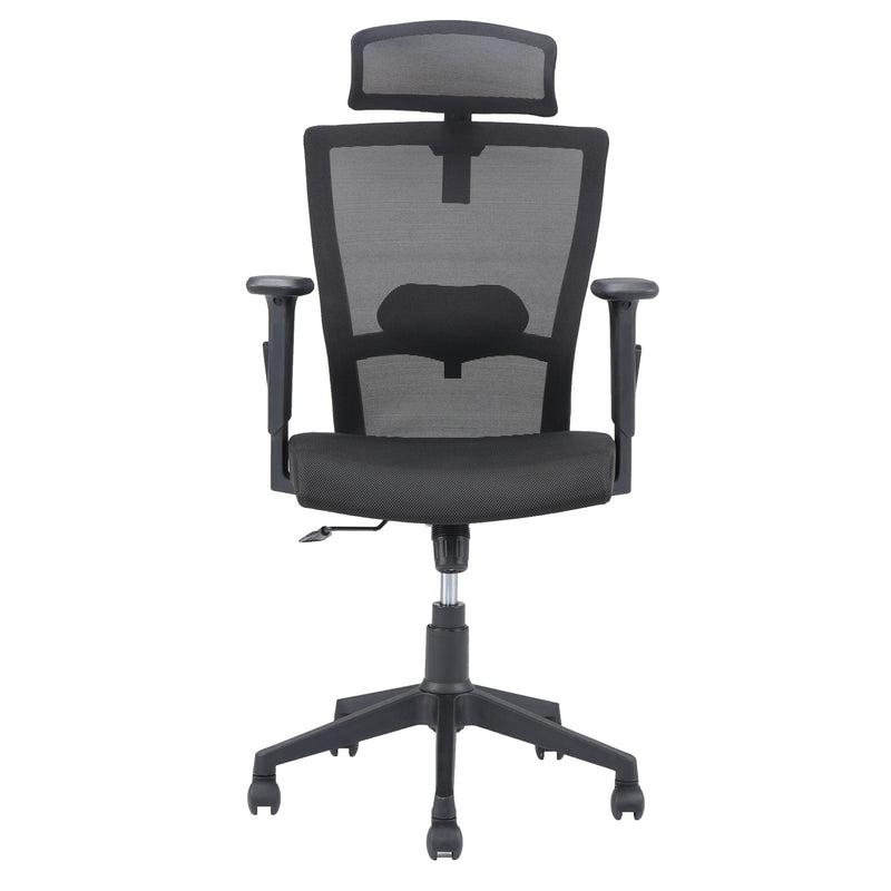 Hexon High Back Mesh with Adjustable Arm Chair (Black)