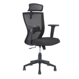 Nilkamal Hexon High Back Mesh with Adjustable Arm Chair (Black)