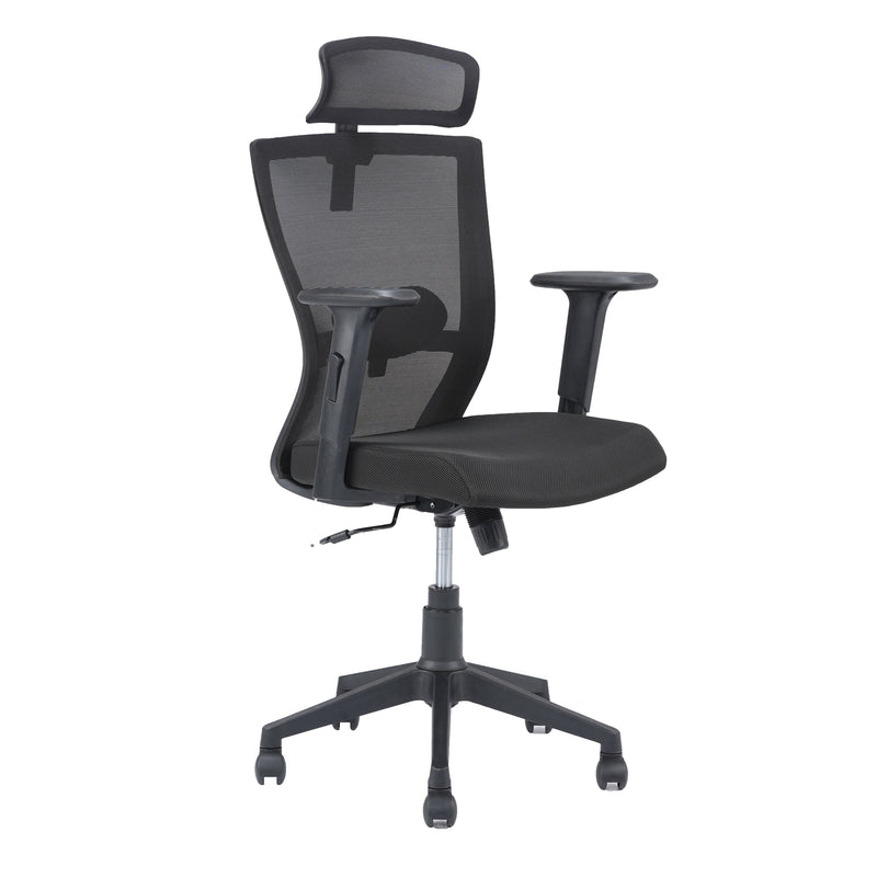 Hexon High Back Mesh with Adjustable Arm Chair (Black)