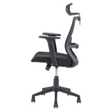 Nilkamal Hexon High Back Mesh with Adjustable Arm Chair (Black)