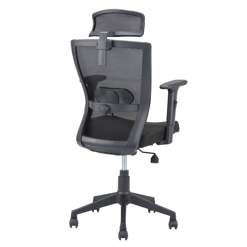 Nilkamal Hexon High Back Mesh with Adjustable Arm Chair (Black)