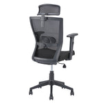 Hexon High Back Mesh with Adjustable Arm Chair (Black)