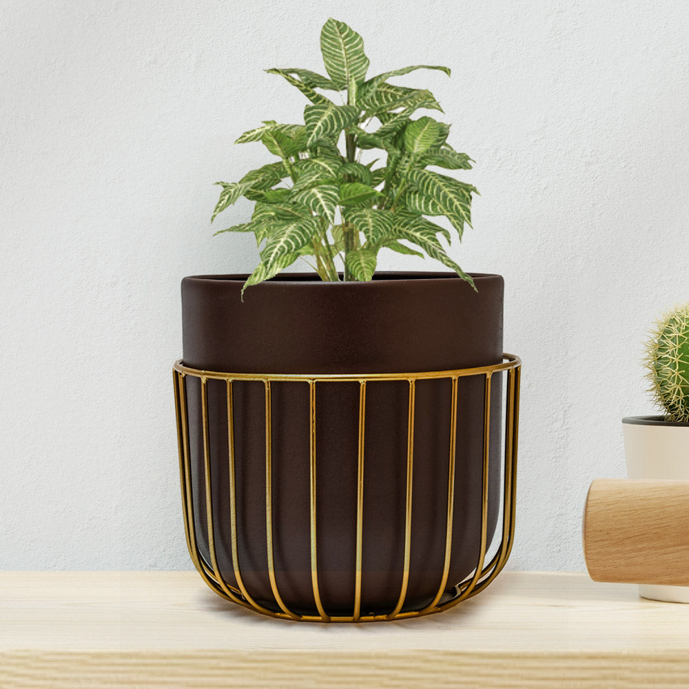 Metal Jali Planter 19 cm (Brown & Gold)