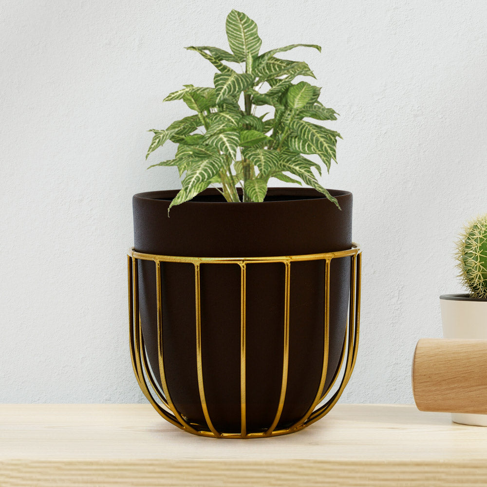 Planters