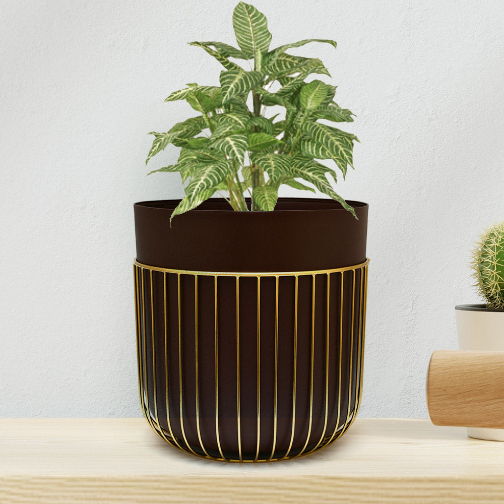 Metal Jali Planter 31 cm (Brown & Gold)