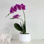 Artificial Orchid Plant With Pot (Purple)