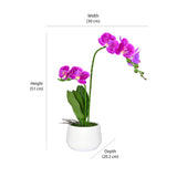 Artificial Orchid Plant With Pot (Purple)