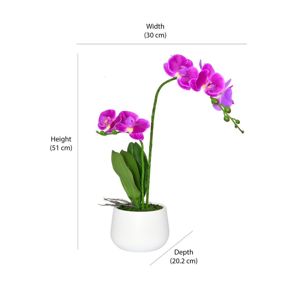 Artificial Orchid Plant With Pot (Purple)