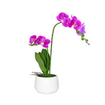 Artificial Orchid Plant With Pot (Purple)