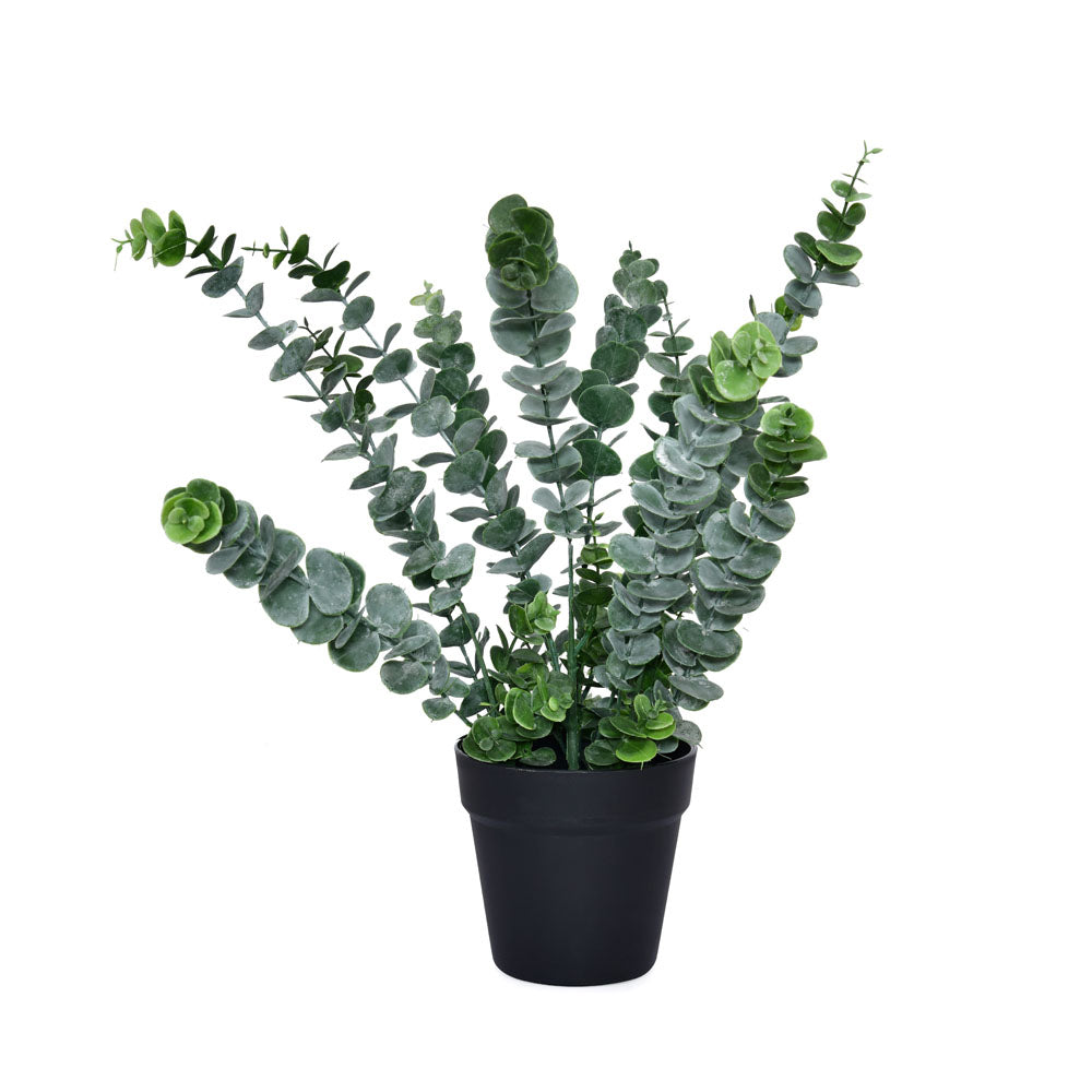 Artificial Eucalyptus Plant With Pot (Green)