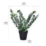 Artificial Eucalyptus Plant With Pot (Green)