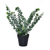 Artificial Eucalyptus Plant With Pot (Green)