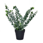 Artificial Eucalyptus Plant With Pot (Green)